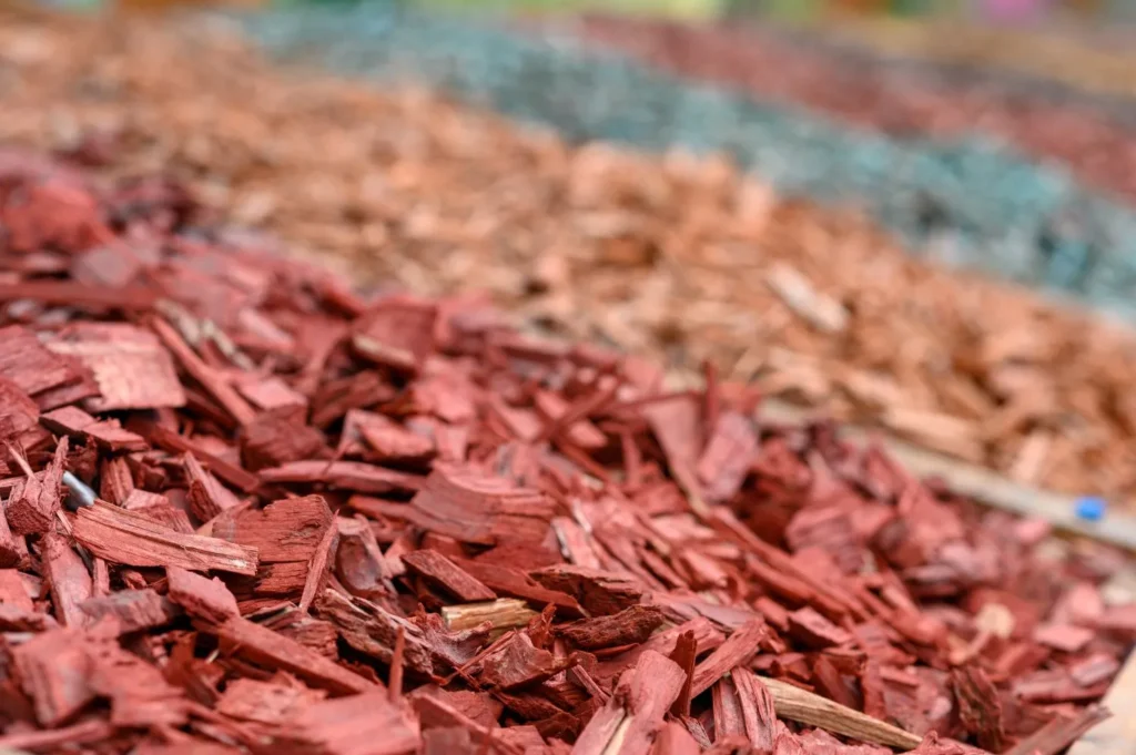 Why Mulch Beds Fail Around Atlanta Tree Roots and Shade Canopies