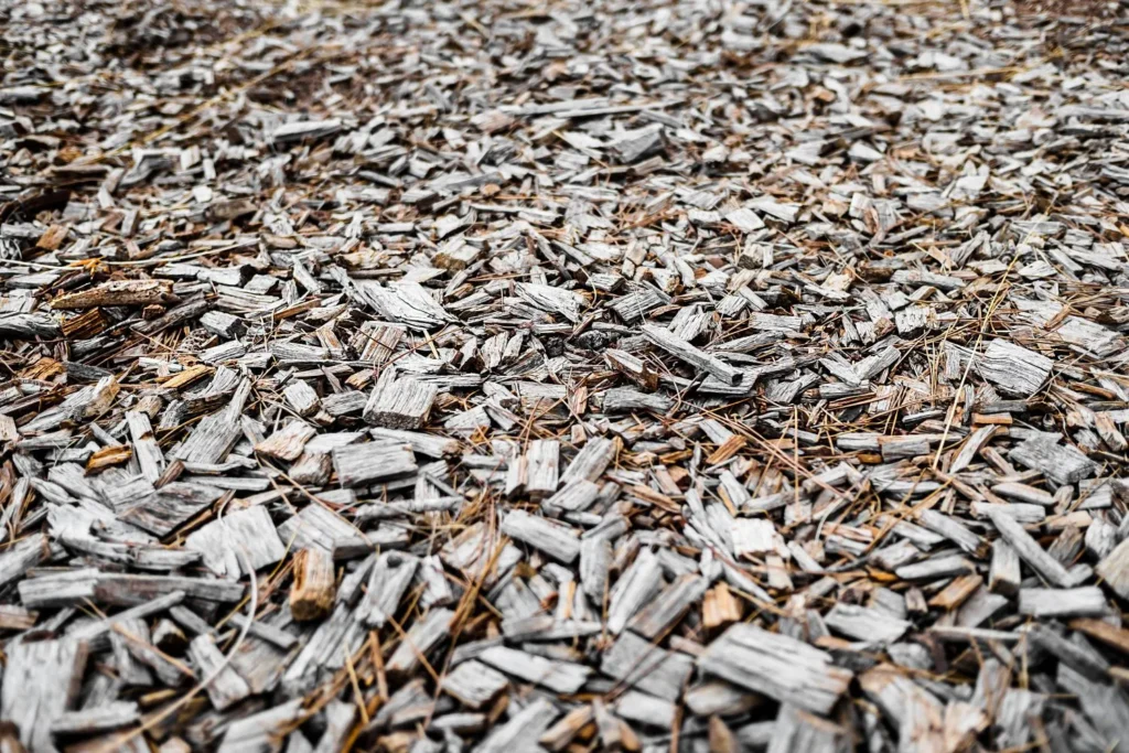 Why Mulch Beds Fail Around Atlanta Tree Roots and Shade Canopies