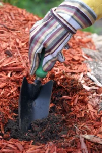 Why Mulch Decomposition Rates Vary Across the Same Property
