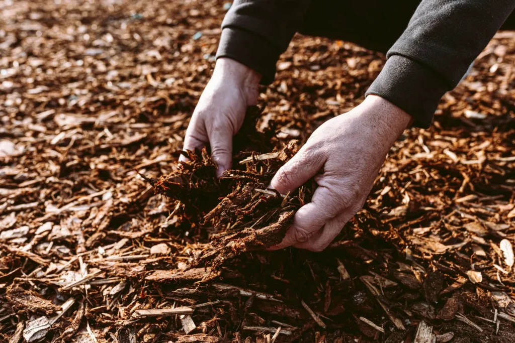 Why Mulch Decomposition Rates Vary Across the Same Property