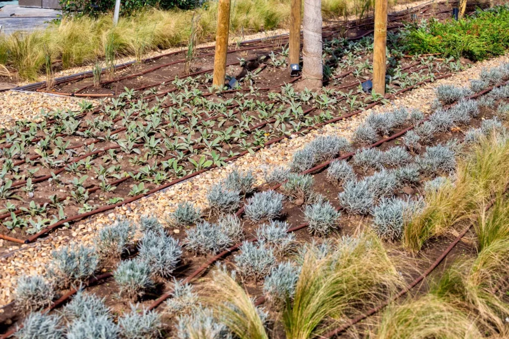 Why Mulch Beds Collapse Without Proper Subsurface Preparation