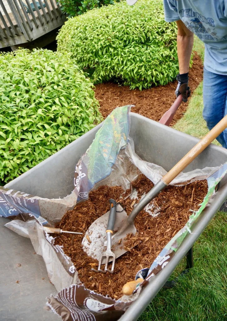 How Heavy Rainfall Affects Mulch Longevity in Cumming Yards
