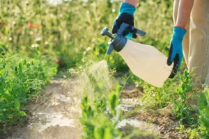 Why Organic Weed Suppression Often Fails Mid-Season