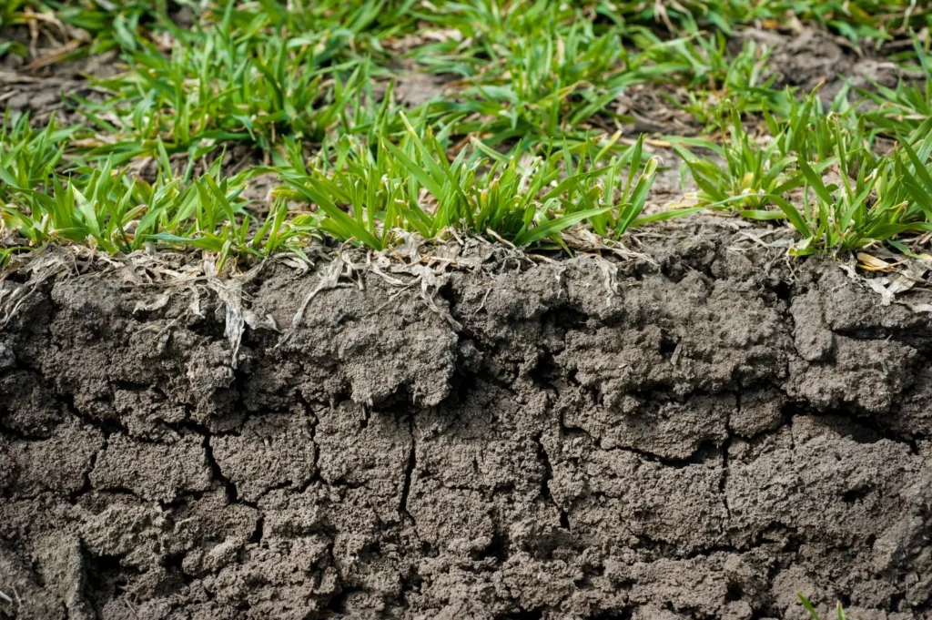 The Difference Between Soil Texture and Soil Structure (And Why It Matters)