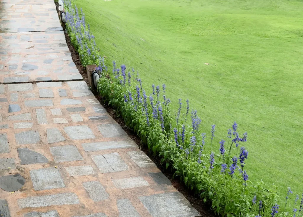 Why Lawn Edges Dry Faster Than the Center in Alpharetta Yards