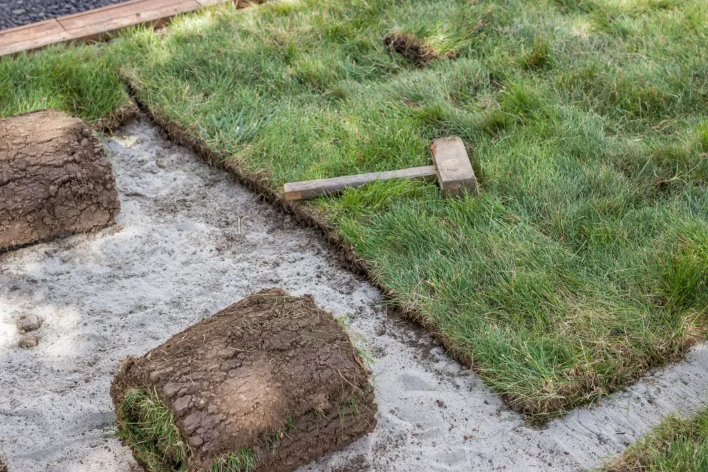 When Lawn Replacement Makes More Sense Than Maintenance in Cumming Yards