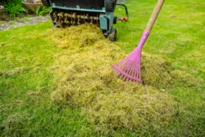 Why Lawn Thatch Isn&rsquo;t Always a Problem in Alpharetta Warm-Season Turf