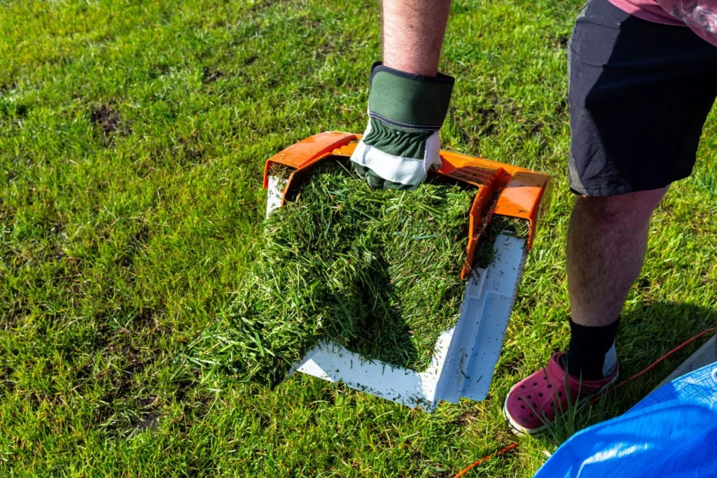 How Grass Clippings Contribute to Natural Lawn Fertility