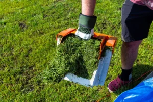 How Grass Clippings Contribute to Natural Lawn Fertility