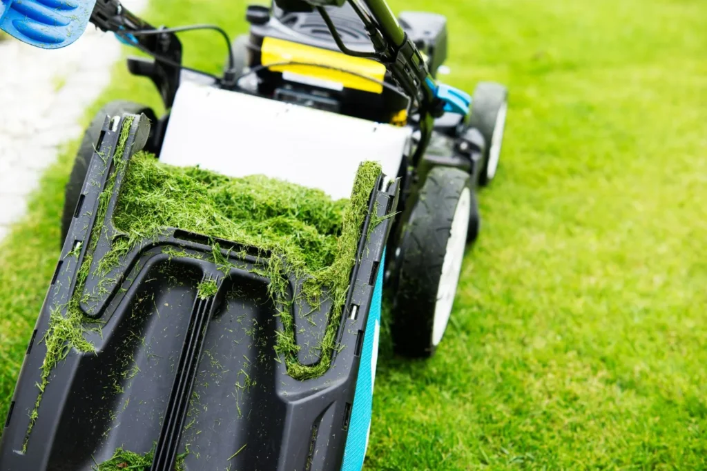 How Grass Clippings Contribute to Natural Lawn Fertility
