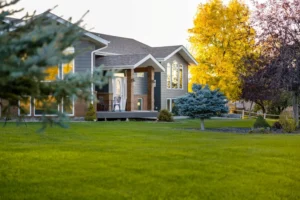 Why Newly Built Neighborhoods Often Struggle With Lawn Establishment