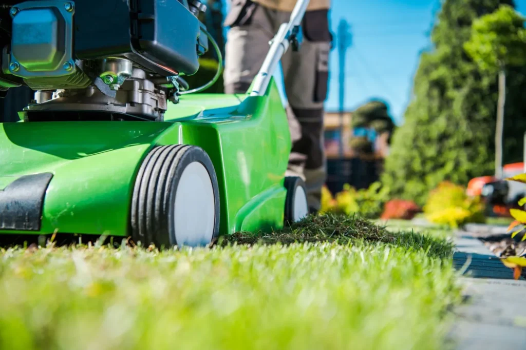 Why Do Some Lawns Recover Quickly While Others Struggle