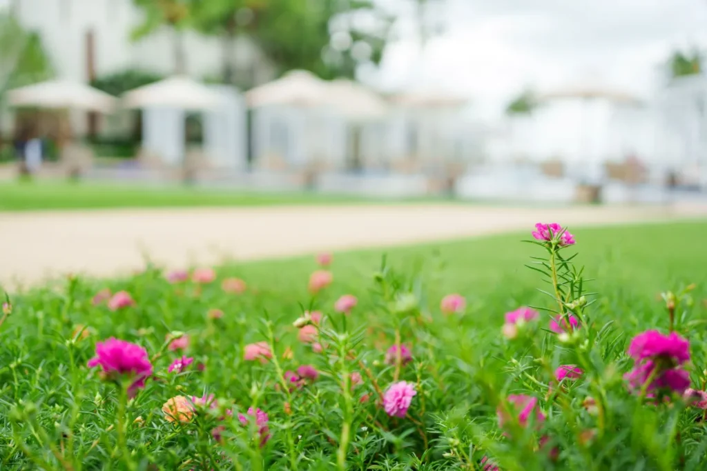 Why Lawn Recovery Often Takes Longer Than Homeowners Expect