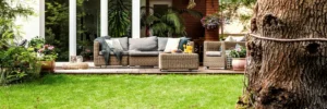 Why Some Lawns Perform Differently From Front Yard to Backyard