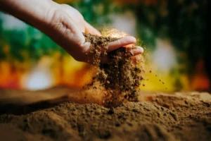 Healthy soil
