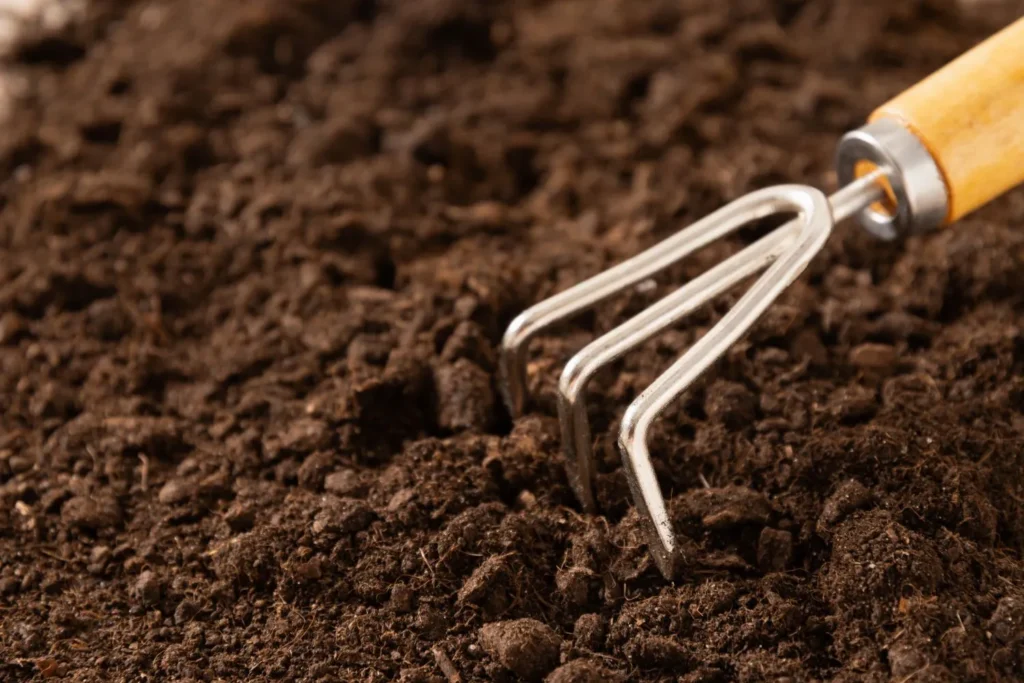 Healthy soil