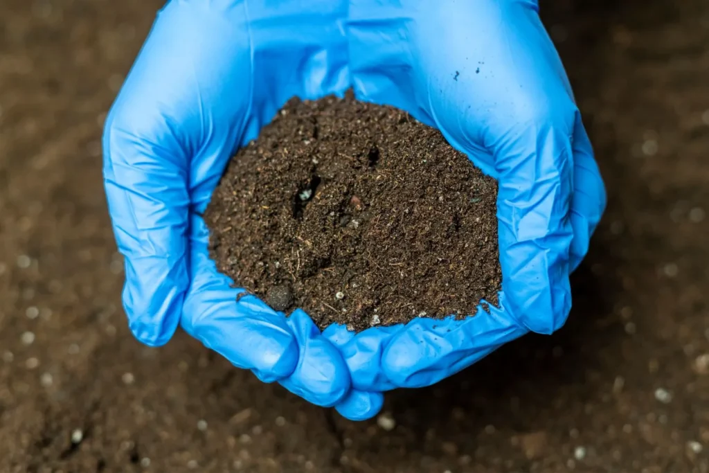 Healthy soil