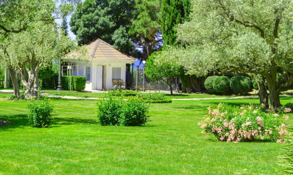 Why Overseeding Matters for Your Mableton Lawn: Benefits and Best Timing