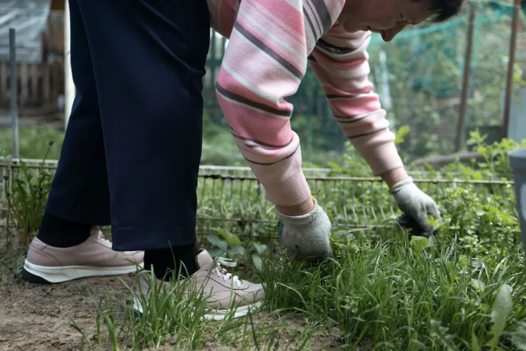 Why Overseeding Needs the Right Follow‑Up in Mableton to Grow a Healthy, Thriving Lawn