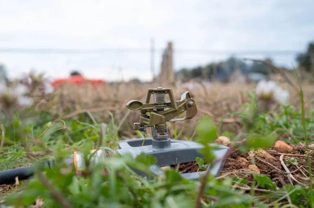 Sprinkler Installation