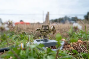 Top Mistakes to Avoid in Sprinkler Installation in Cumming: Expert Tips to Prevent Common Irrigation Errors