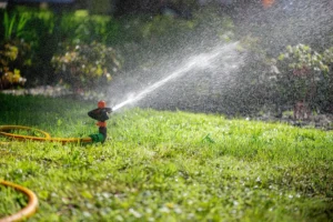 Sprinkler Installation