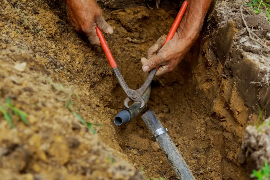 Sprinkler Installation