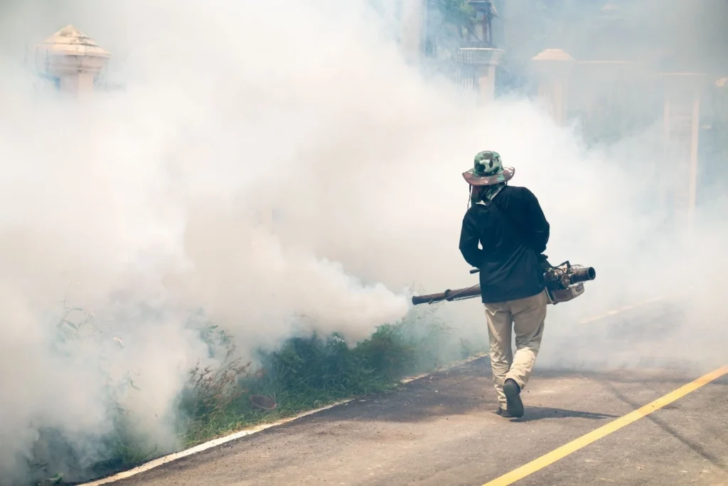 Mosquito Control in Atlanta