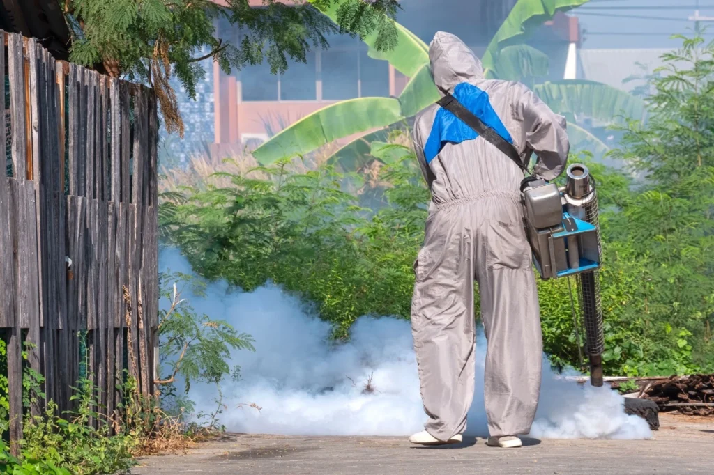 Mosquito Control in Atlanta