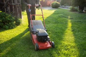 Why Dull Mower Blades Can Slowly Damage Turf