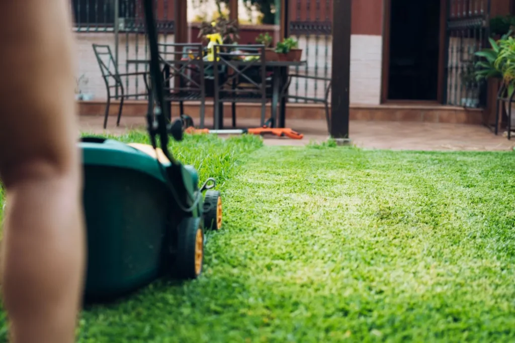 Why Dull Mower Blades Can Slowly Damage Turf