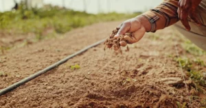 Drip Irrigation Essentials: A Practical Guide to Water-Smart Design