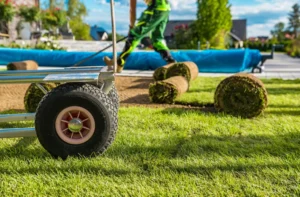 Lawn Repair That Works for Acworth Homeowners: Restore and Keep Your Lawn Healthy