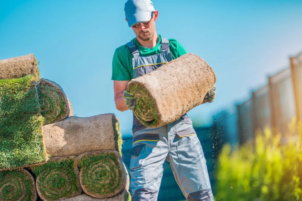 Why Professional Lawn Restoration Outperforms DIY: Benefits, Costs, and Expert Results