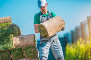 Why Professional Lawn Restoration Outperforms DIY: Benefits, Costs, and Expert Results