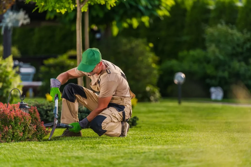 Why Professional Lawn Restoration Outperforms DIY: Benefits, Costs, and Expert Results