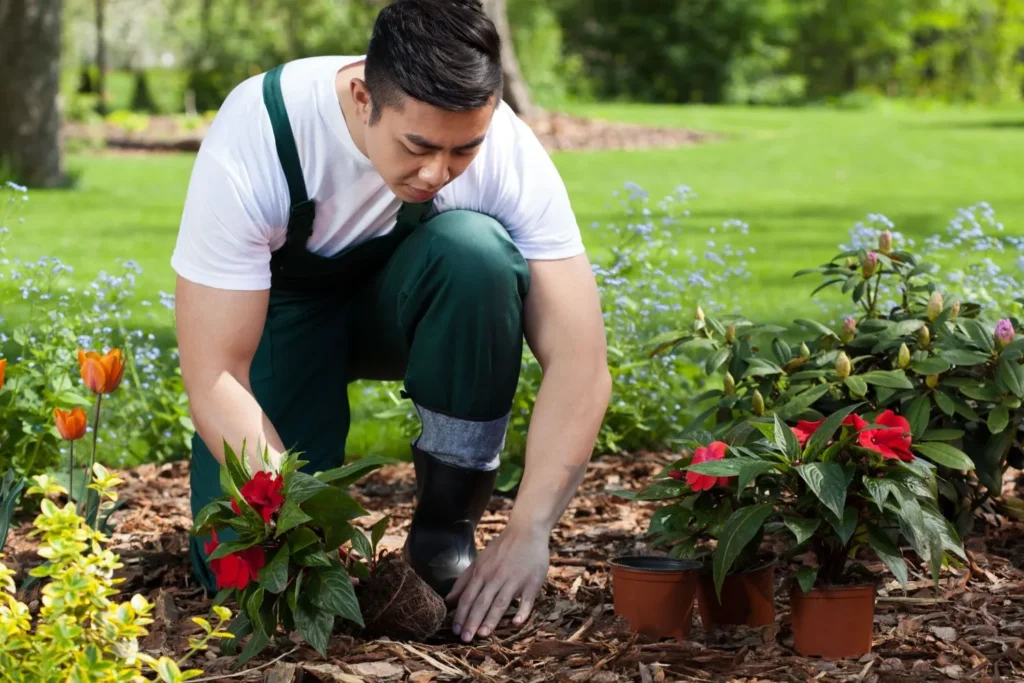 Lawn Repair That Works for Acworth Homeowners: Restore and Keep Your Lawn Healthy