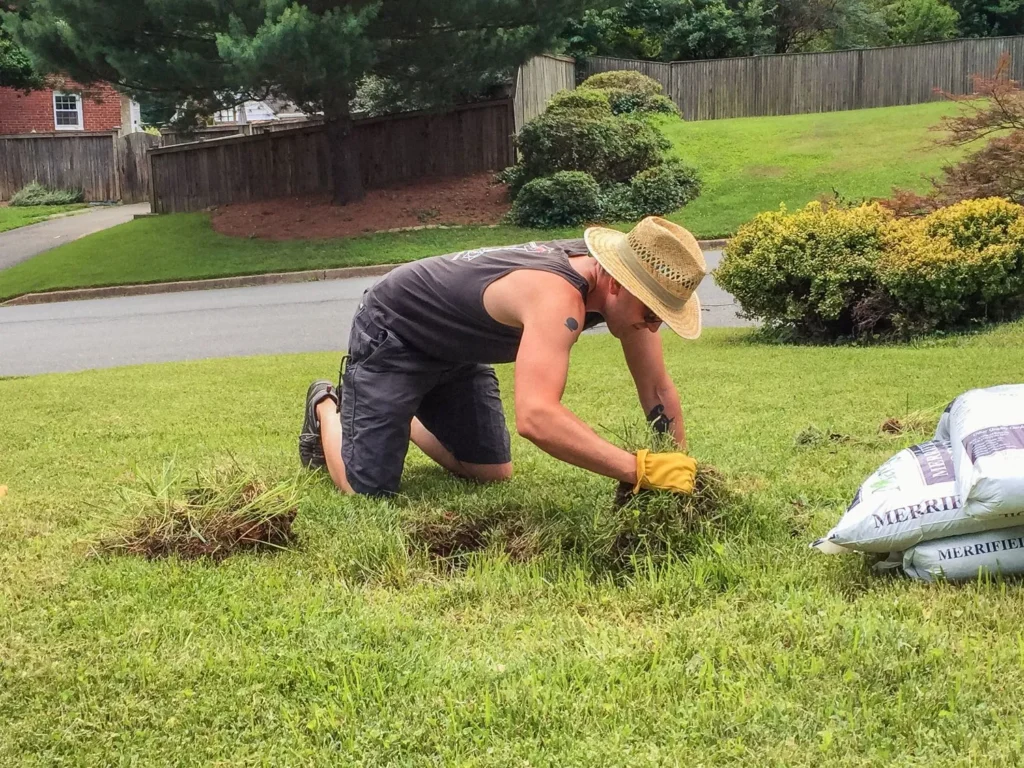 Lawn Repair vs. Replacement: Which Is Right for Your Yard?