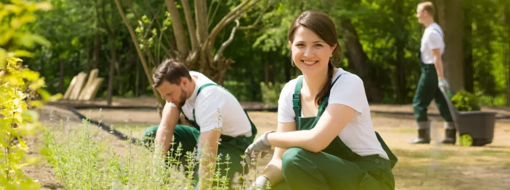 Lawn Repair vs. Replacement: Which Is Right for Your Yard?