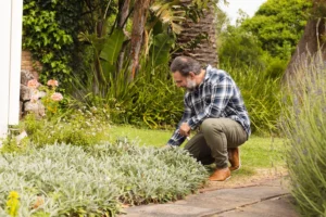 Top Commercial Lawn Repair Solutions for Businesses in Acworth, GA