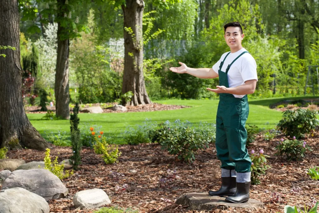Why Professional Lawn Restoration Outperforms DIY: Benefits, Costs, and Expert Results
