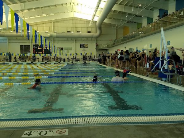Swimming pool with swimmers in lanes, spectators along the edge, and vibrant blue and yellow lane markers, highlighting a competitive swim event.