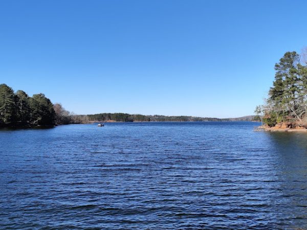Scenic view of a lake in Hall County, GA, featuring clear blue water, shoreline trees, and a boat in the distance.