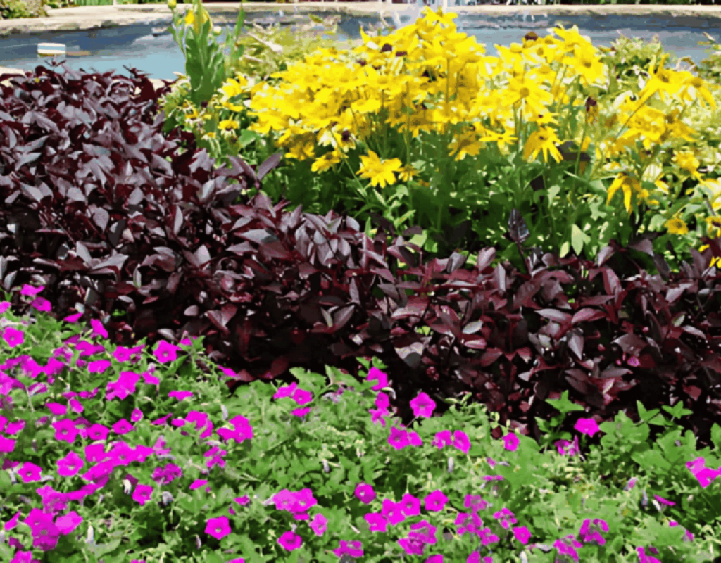 A pop-up sprinkler spraying water across a green lawn and flowerbed, demonstrating an irrigation system at work.