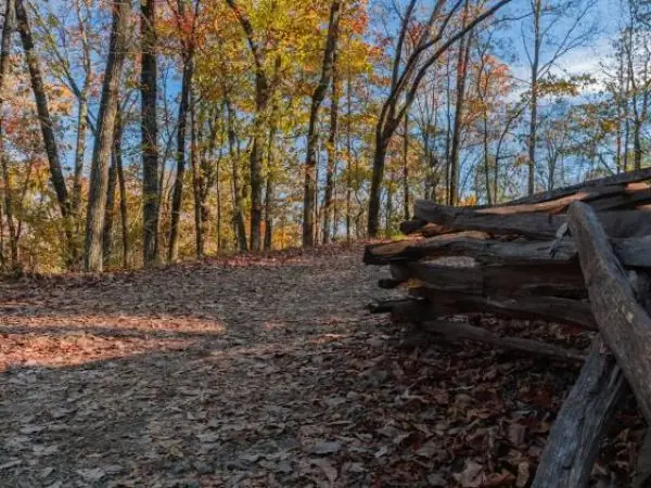 Autumn landscape with colorful trees lining a dirt path, showcasing fallen leaves and a rustic wooden fence in Cobb County, GA, emphasizing natural beauty and outdoor space.