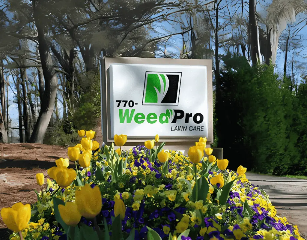 A branded WeedPro lawn-care sign with phone number set amid bright yellow tulips and purple pansies, backed by tall pines.