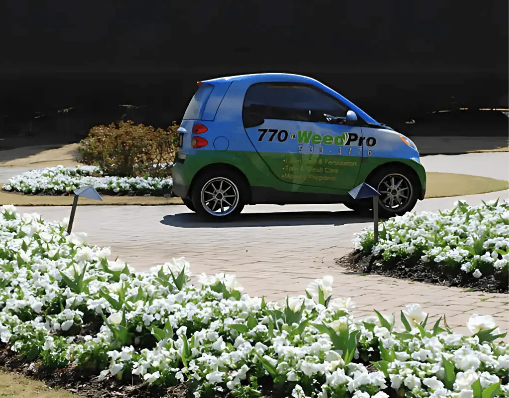 Weed Pro Lawn Care vehicle parked amidst vibrant white flowers and landscaped greenery, showcasing professional lawn care services in Sandy Springs, GA.