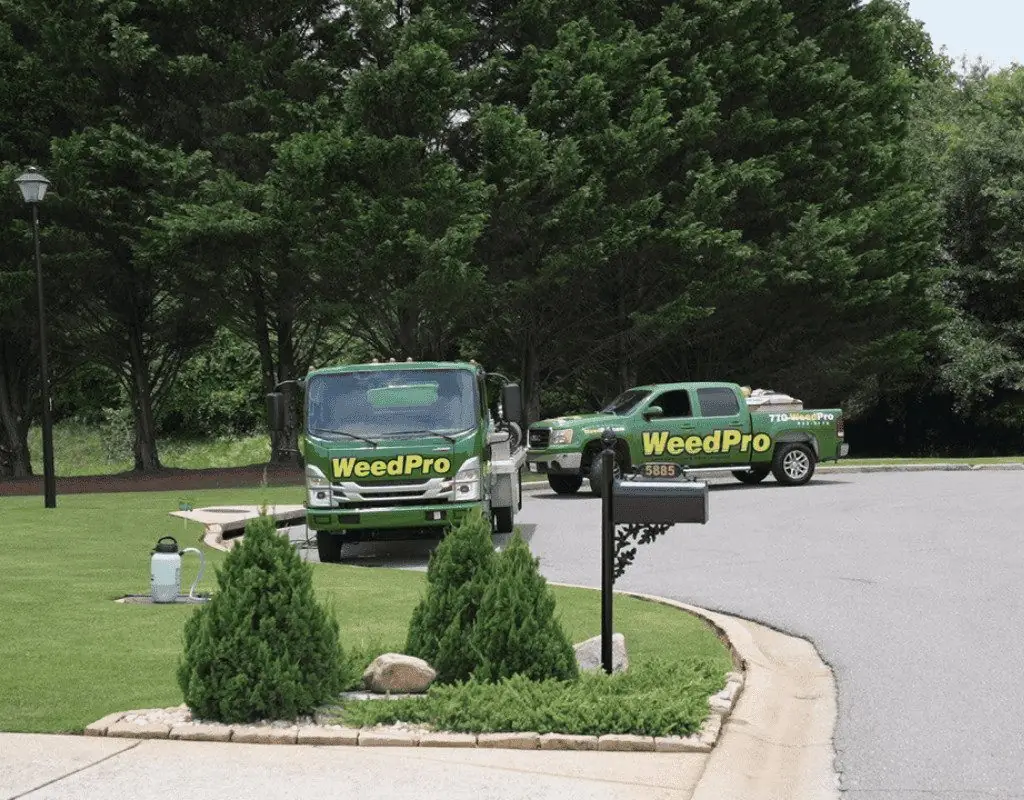 WeedPro service truck and van lined up on a cul-de-sac, illustrating the company’s readiness to perform overseeding and lawn enhancement.