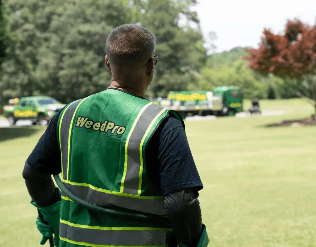 WeedPro crew member in a green safety vest surveying a freshly mowed lawn, with branded service trucks visible in the distance.