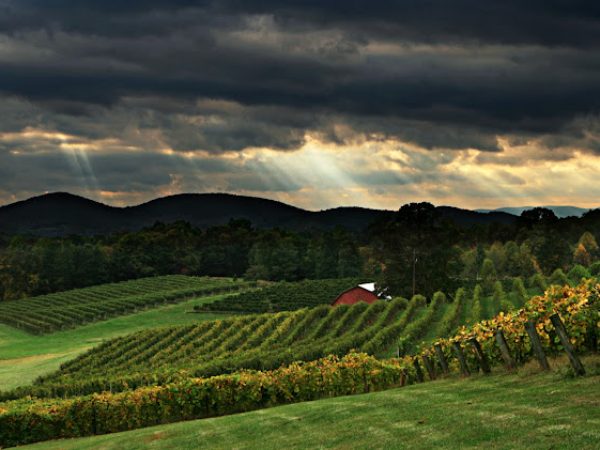 Lumpkin County, GA